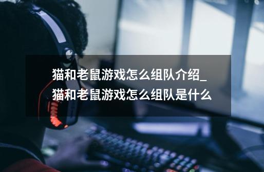 猫和老鼠游戏怎么组队介绍_猫和老鼠游戏怎么组队是什么-第1张-游戏信息-龙启网