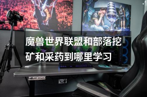 魔兽世界联盟和部落挖矿和采药到哪里学习-第1张-游戏信息-龙启网