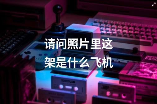 请问照片里这架是什么飞机-第1张-游戏信息-龙启网