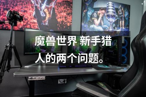 魔兽世界 新手猎人的两个问题。-第1张-游戏信息-龙启网