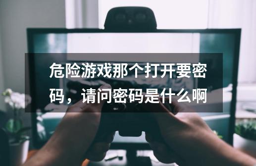 危险游戏那个打开要密码，请问密码是什么啊-第1张-游戏信息-龙启网