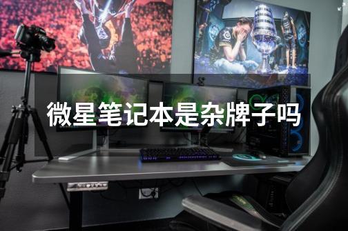 微星笔记本是杂牌子吗-第1张-游戏信息-龙启网