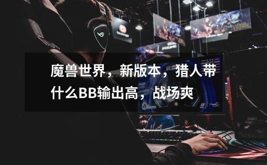 魔兽世界，新版本，猎人带什么BB输出高，战场爽-第1张-游戏信息-龙启网