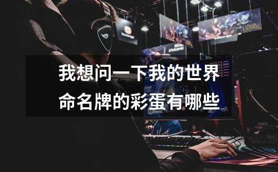 我想问一下我的世界命名牌的彩蛋有哪些-第1张-游戏信息-龙启网