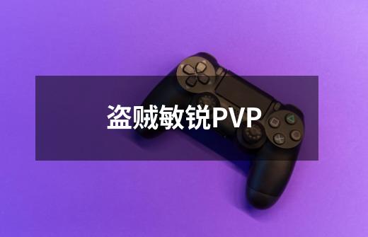 盗贼敏锐PVP-第1张-游戏信息-龙启网
