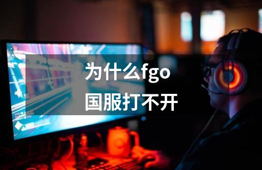 为什么fgo国服打不开-第1张-游戏信息-龙启网