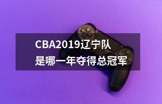 CBA2019辽宁队是哪一年夺得总冠军-第1张-游戏信息-龙启网
