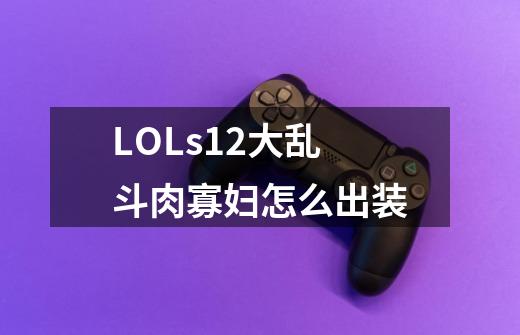 LOLs12大乱斗肉寡妇怎么出装-第1张-游戏信息-龙启网