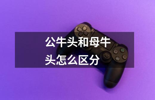 公牛头和母牛头怎么区分-第1张-游戏信息-龙启网