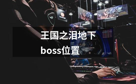 王国之泪地下boss位置-第1张-游戏信息-龙启网