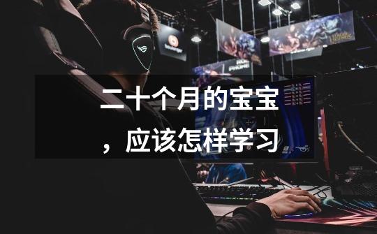 二十个月的宝宝,应该怎样学习-第1张-游戏信息-龙启网