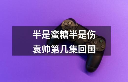 半是蜜糖半是伤袁帅第几集回国-第1张-游戏信息-龙启网
