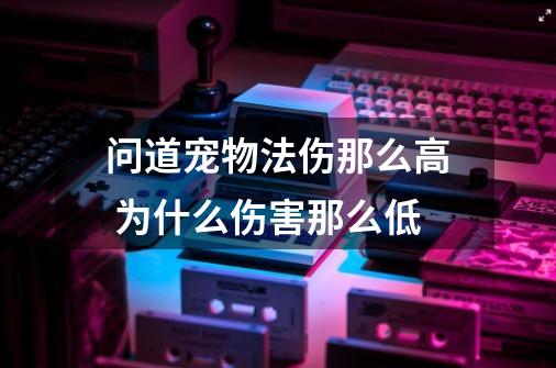 问道宠物法伤那么高 为什么伤害那么低-第1张-游戏信息-龙启网
