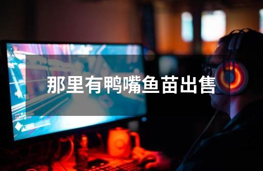 那里有鸭嘴鱼苗出售-第1张-游戏信息-龙启网