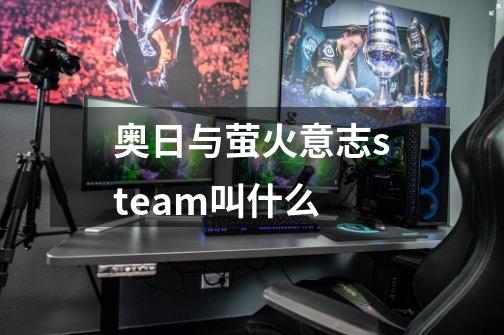 奥日与萤火意志steam叫什么-第1张-游戏信息-龙启网