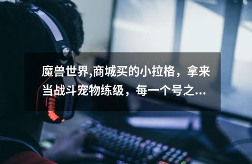 魔兽世界,商城买的小拉格，拿来当战斗宠物练级，每一个号之间小拉格等级是共享的还是分开的-第1张-游戏信息-龙启网