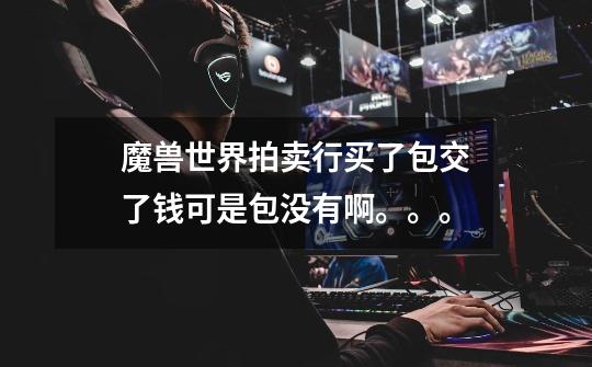 魔兽世界拍卖行买了包交了钱可是包没有啊。。。-第1张-游戏信息-龙启网