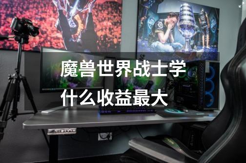 魔兽世界战士学什么收益最大-第1张-游戏信息-龙启网
