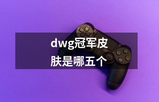 dwg冠军皮肤是哪五个-第1张-游戏信息-龙启网