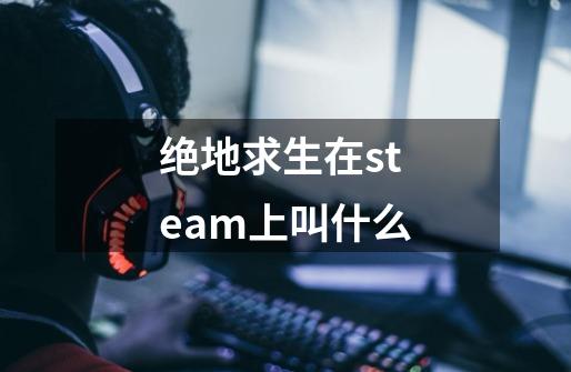绝地求生在steam上叫什么-第1张-游戏信息-龙启网