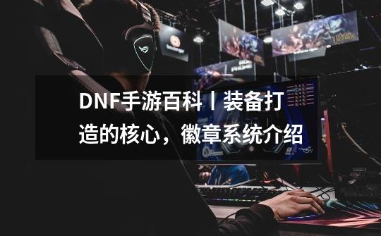 DNF手游百科丨装备打造的核心,徽章系统介绍-第1张-游戏信息-龙启网