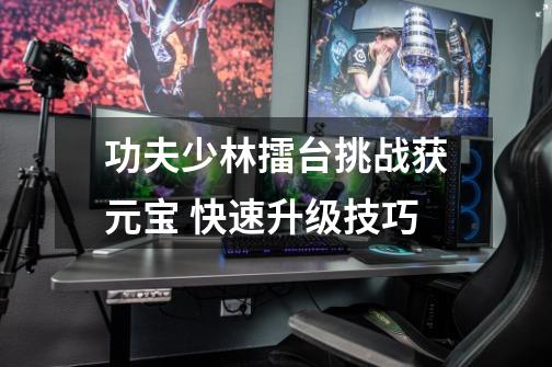 功夫少林擂台挑战获元宝 快速升级技巧-第1张-游戏信息-龙启网