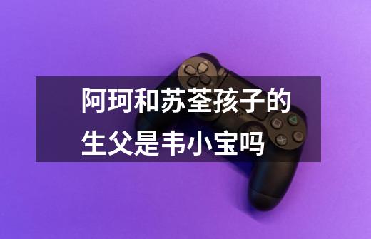 阿珂和苏荃孩子的生父是韦小宝吗-第1张-游戏信息-龙启网