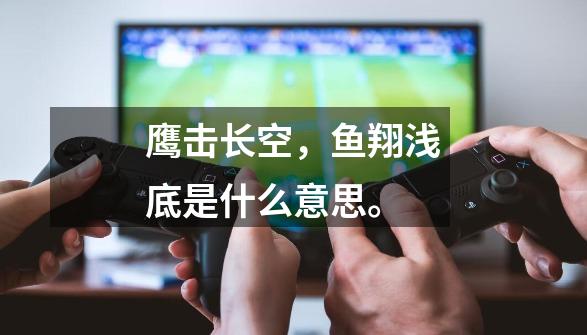 鹰击长空,鱼翔浅底是什么意思。-第1张-游戏信息-龙启网