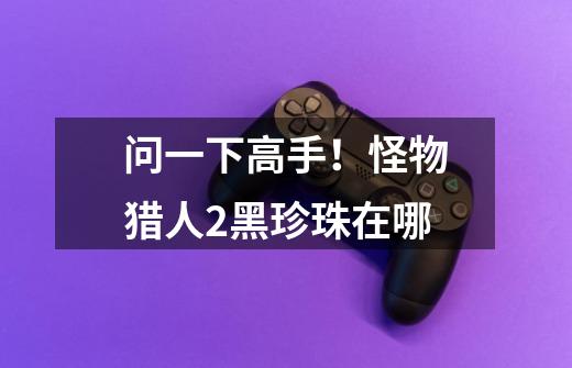 问一下高手!怪物猎人2黑珍珠在哪-第1张-游戏信息-龙启网