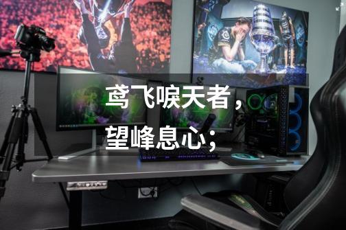鸢飞唳天者,望峰息心;-第1张-游戏信息-龙启网