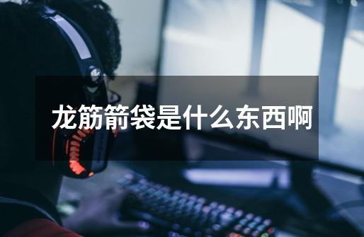 龙筋箭袋是什么东西啊-第1张-游戏信息-龙启网