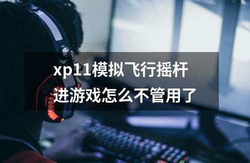 xp11模拟飞行摇杆进游戏怎么不管用了-第1张-游戏信息-龙启网