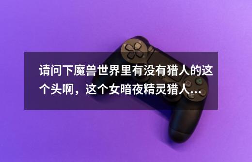 请问下魔兽世界里有没有猎人的这个头啊，这个女暗夜精灵猎人的头部装备-第1张-游戏信息-龙启网
