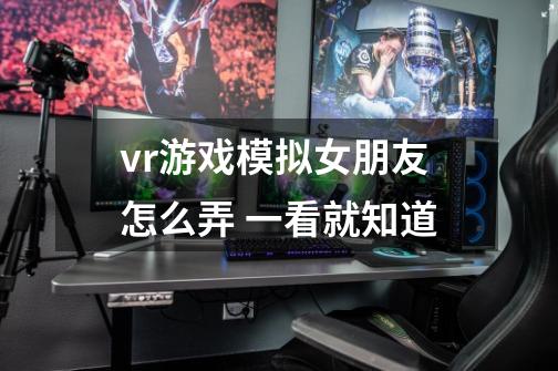 vr游戏模拟女朋友怎么弄 一看就知道-第1张-游戏信息-龙启网