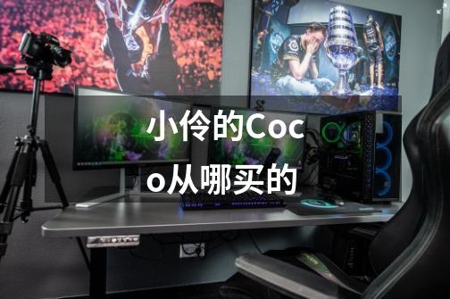 小伶的Coco从哪买的-第1张-游戏信息-龙启网