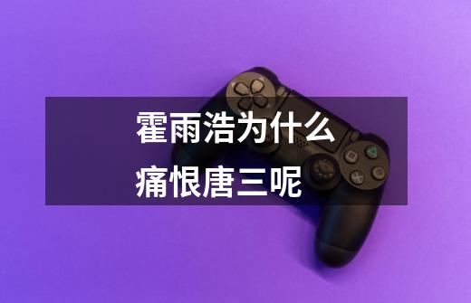 霍雨浩为什么痛恨唐三呢-第1张-游戏信息-龙启网