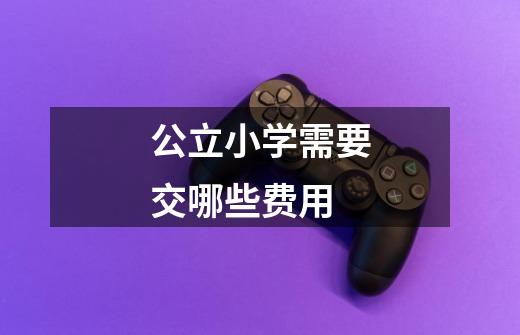 公立小学需要交哪些费用-第1张-游戏信息-龙启网