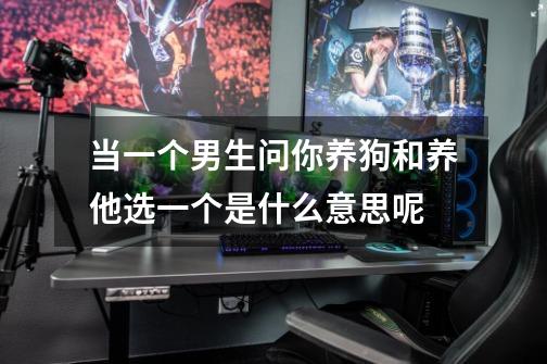 当一个男生问你养狗和养他选一个是什么意思呢-第1张-游戏信息-龙启网
