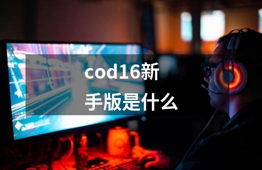 cod16新手版是什么-第1张-游戏信息-龙启网