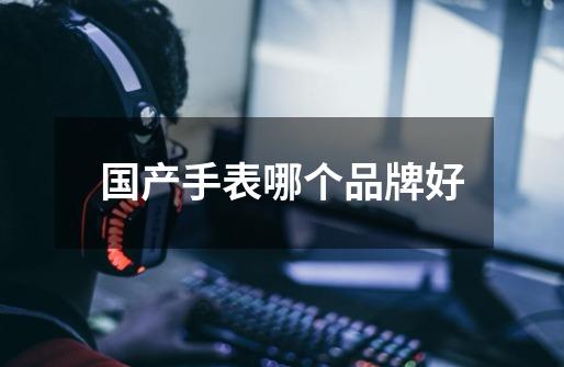 国产手表哪个品牌好-第1张-游戏信息-龙启网