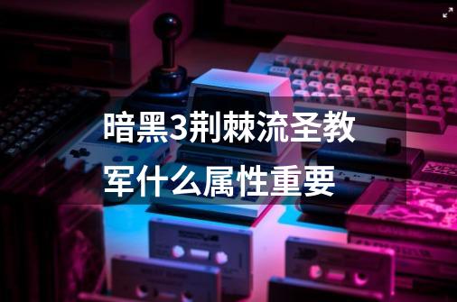 暗黑3荆棘流圣教军什么属性重要-第1张-游戏信息-龙启网