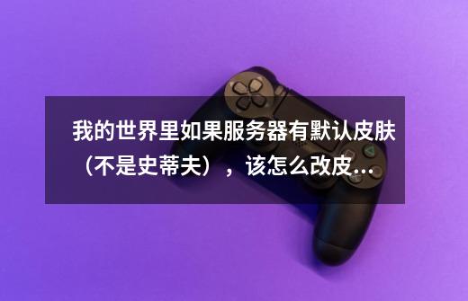 我的世界里如果服务器有默认皮肤（不是史蒂夫），该怎么改皮肤。-第1张-游戏信息-龙启网
