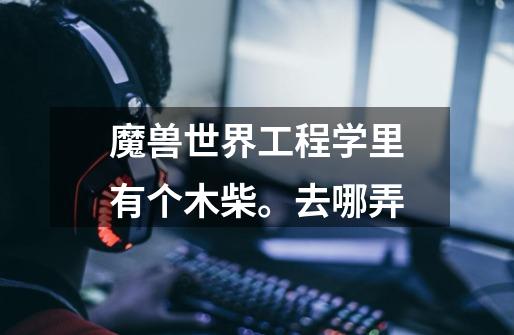 魔兽世界工程学里有个木柴。去哪弄-第1张-游戏信息-龙启网