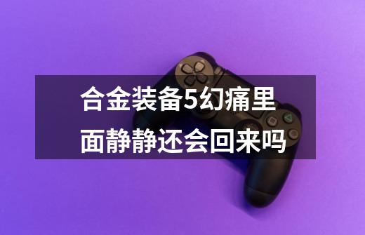 合金装备5幻痛里面静静还会回来吗-第1张-游戏信息-龙启网