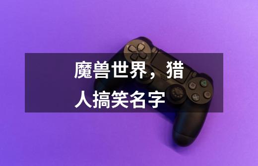 魔兽世界,猎人搞笑名字....-第1张-游戏信息-龙启网
