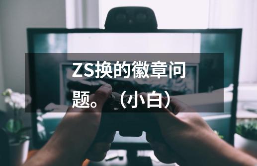 ZS换的徽章问题。(小白)-第1张-游戏信息-龙启网