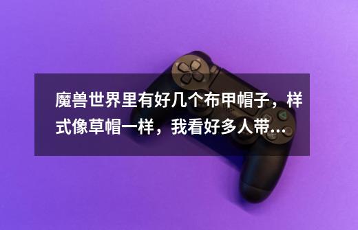 魔兽世界里有好几个布甲帽子,样式像草帽一样,我看好多人带过,忘记叫什么名字了。有没有高人帮忙-第1张-游戏信息-龙启网