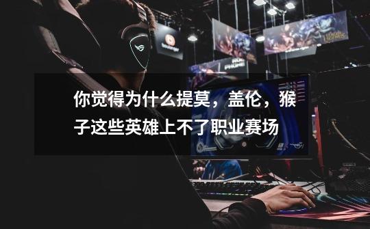 你觉得为什么提莫,盖伦,猴子这些英雄上不了职业赛场-第1张-游戏信息-龙启网