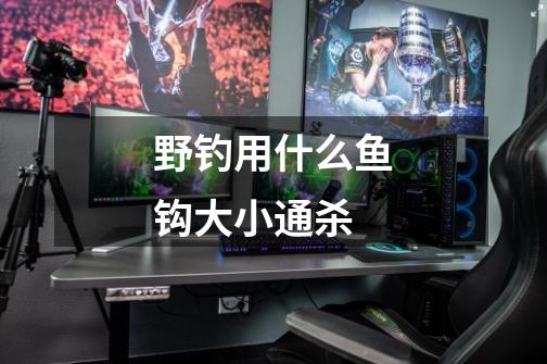 野钓用什么鱼钩大小通杀-第1张-游戏信息-龙启网