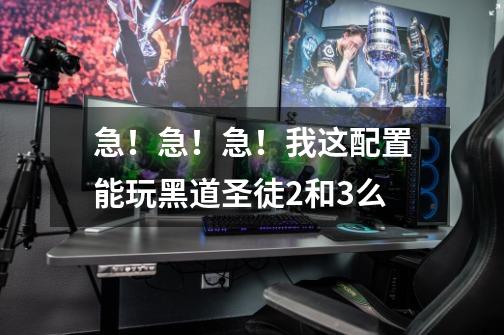 急!急!急!我这配置能玩黑道圣徒2和3么-第1张-游戏信息-龙启网